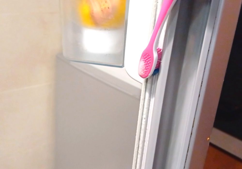 cepillo de dientes para la limpieza