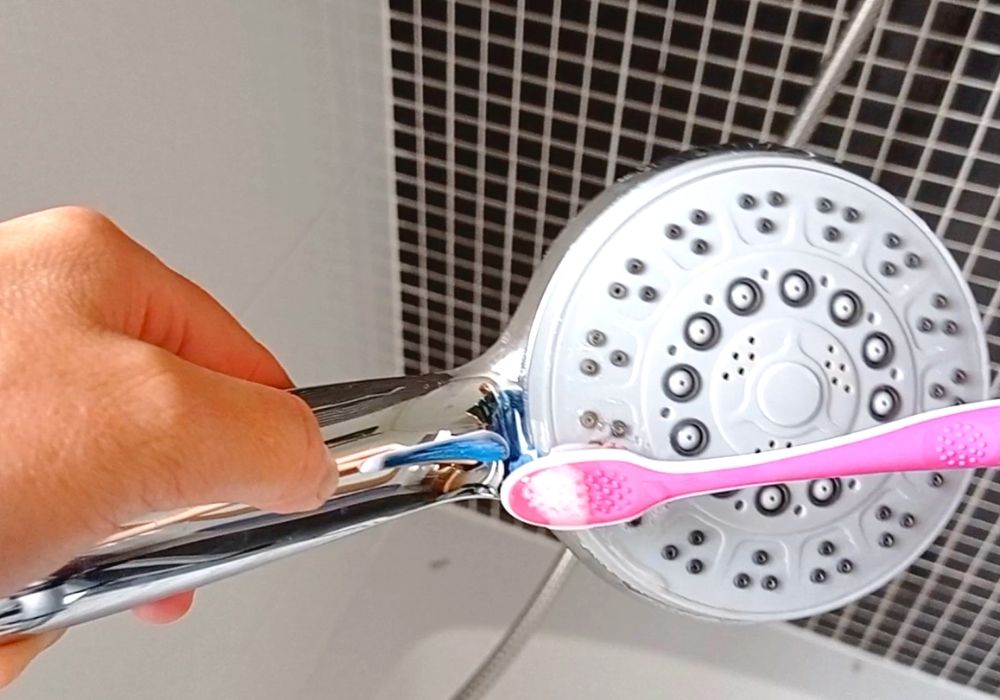 limpiar la alcachofa de la ducha